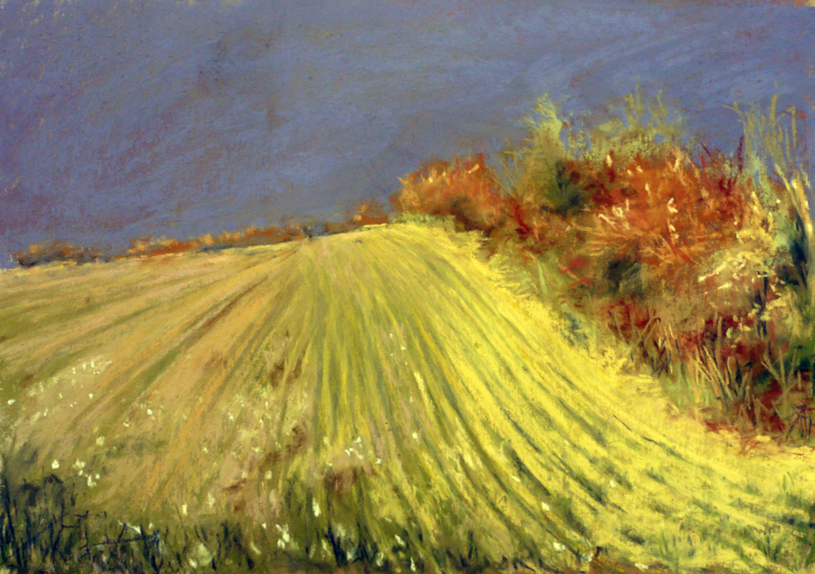 Arlene Richman, "A Field in France," pastel, 9 x 12