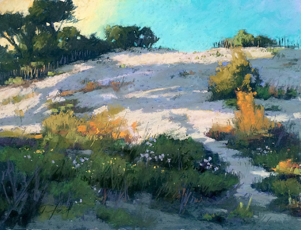 pastel picks: Terri Ford, "Dune Shadows," pastel, 12 x 16 in,