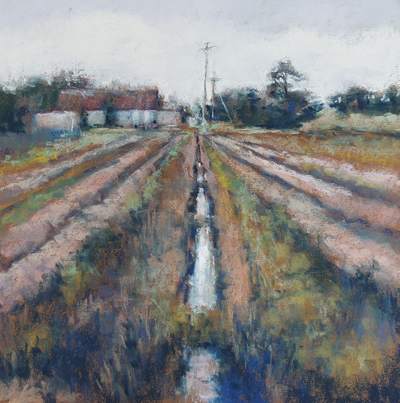 Lyn Asselta, "The Lifeline," 2012, pastel on Colourfix paper, 15 x 15 in  There's a small farming community near where I live called Hastings. It calls itself The Potato Capital of the World. There is something I love about the orderly, straight rows of crops juxtaposed against the randomness of old farm buildings and clumps of trees. Sometimes I have to smile at how ramshackle the buildings are, yet the crops are so meticulously planted.  