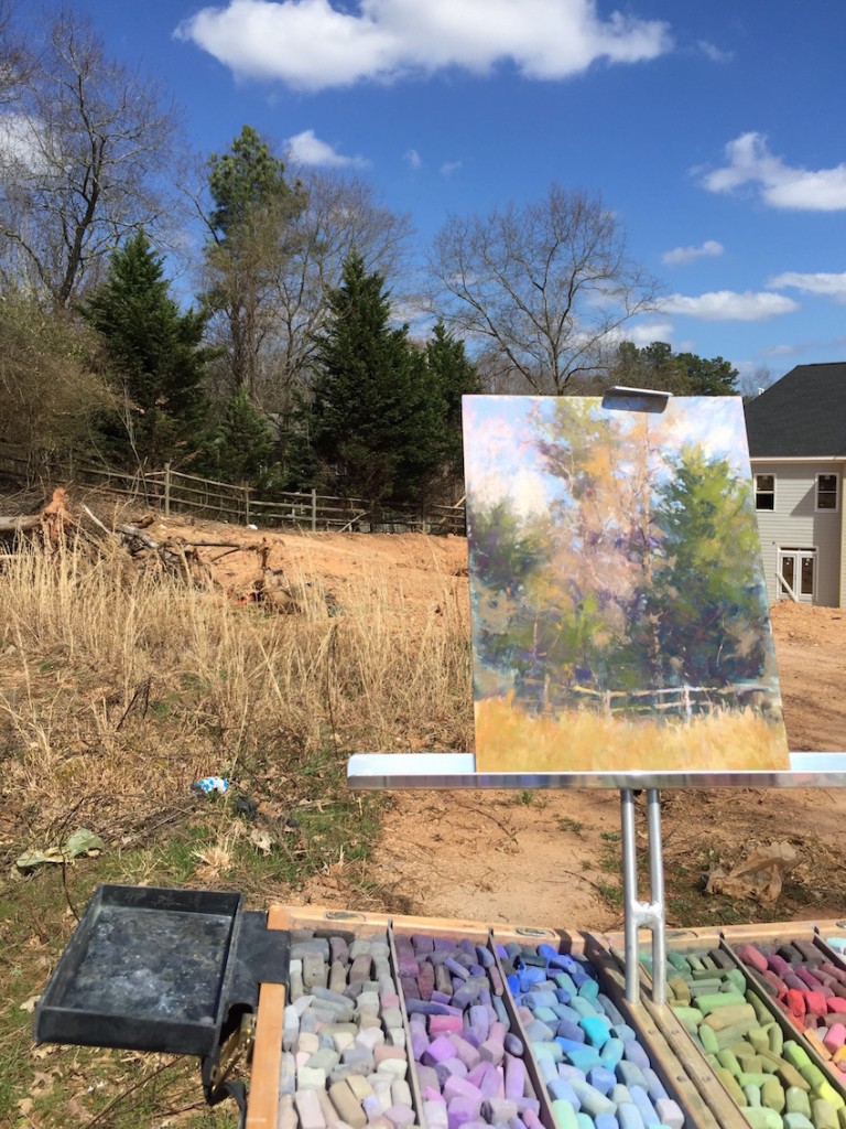 Nancy Nowak: Reference plein air photo of scene for "Fenced In"