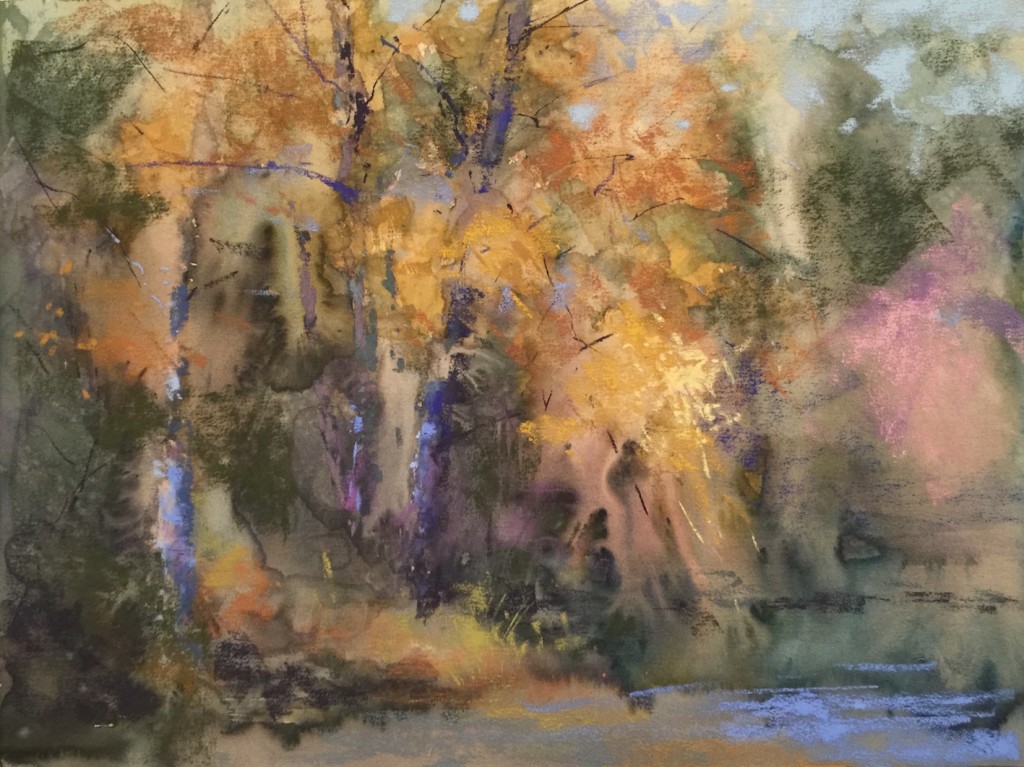 Nancy Nowak: Starting to add pastel over the watercolour painting and keeping it loose.  