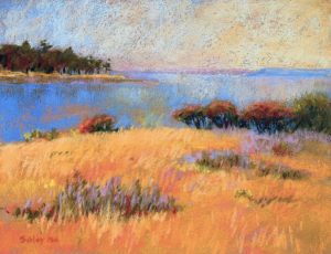 PSA Feature Artist: Gail Sibley, "Saturna," pastel on Wallis paper, 9 x 12 in