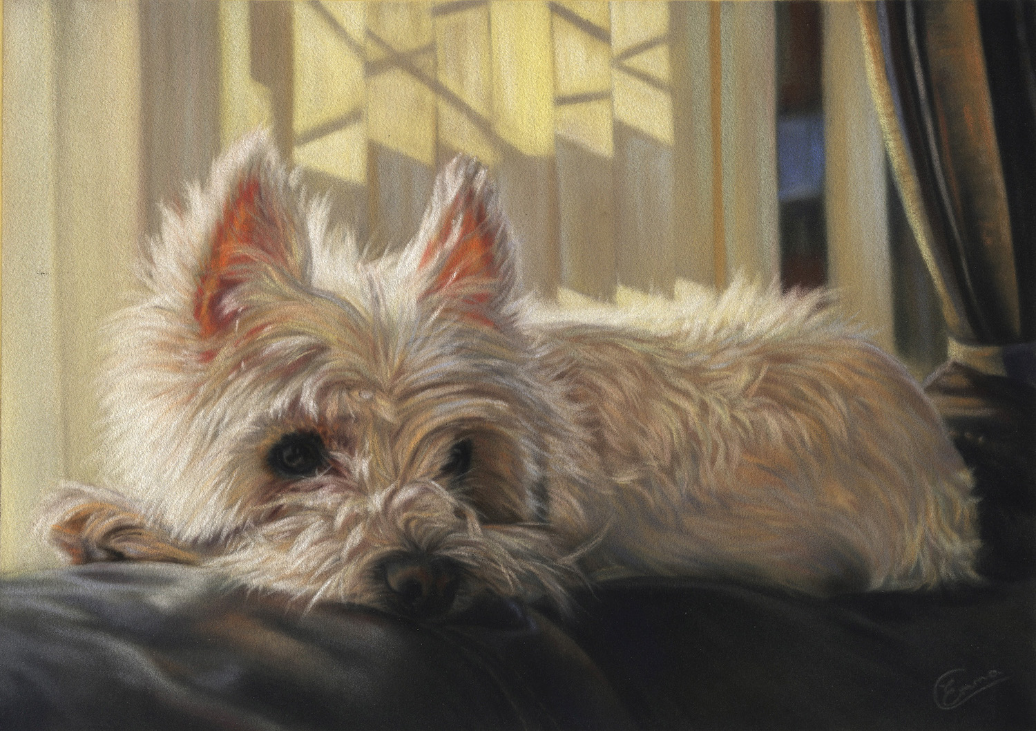 Emma Colbert, "Fluffy," 2015, Unison pastels on Hahnemühle velour paper 12 x 10 in. Commissioned Portrait