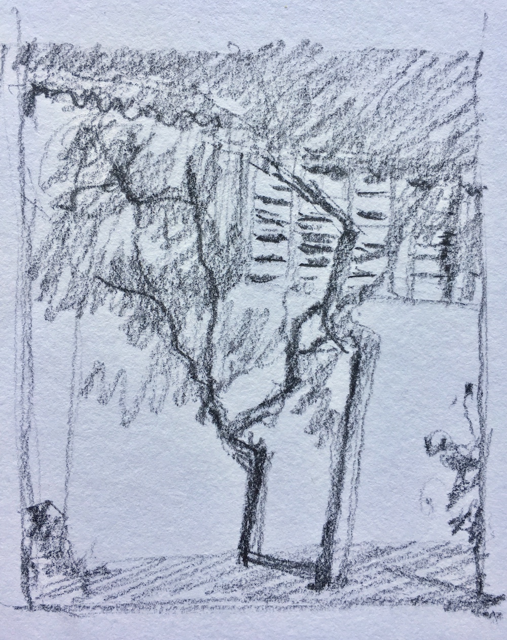 Thumbnails: This was a tree from the village of Calella where I taught my workshop in Spain. The wall was the most gorgeous orange yellow and I loved that the shadow cast by the tree was darker than the tree itself. It will be recognized by a couple of my students for sure!