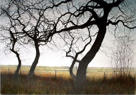 Awesome pastels: David Brammeld, "Three Winter Trees," pastel with graphite, 31 1/2 x 41 3/4 in (80 x 106 cm)