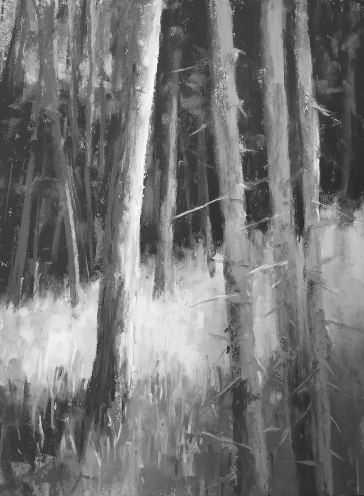 Painting summer greens in soft pastels: Gail Sibley, "Metchosin Woods," Unison pastels on UART 400, 12 x 9 in - in black and white (photo with iPhone)