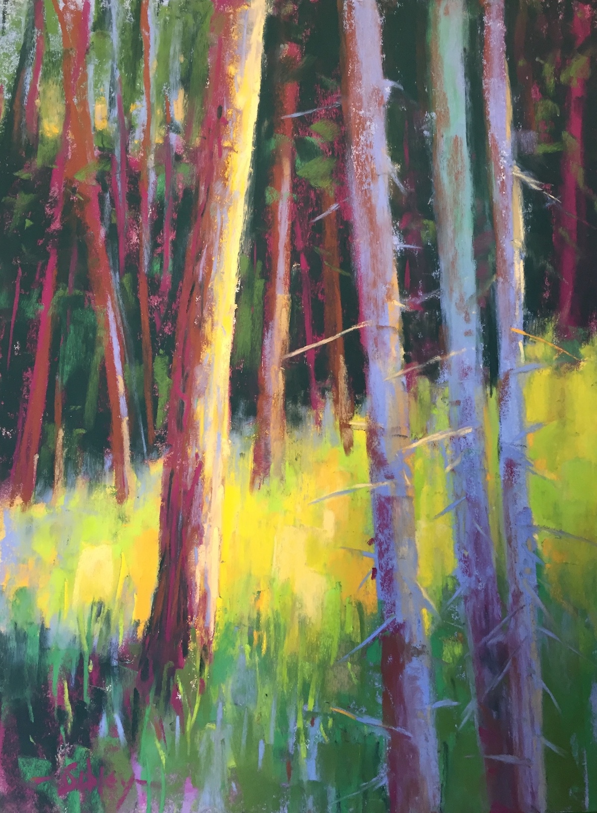 Painting summer greens in soft pastels: Gail Sibley, "Metchosin Woods," Unison pastels on UART 400, 12 x 9 in (photo with iPhone)