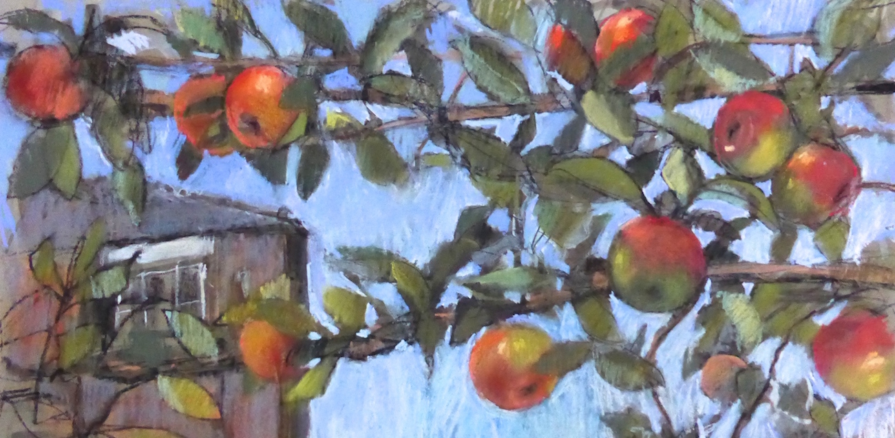 Felicity House, "Cordon Apples," 2013, assorted pastels on Art Spectrum paper, 9 x 18 in. Sold at my recent Open Studio.