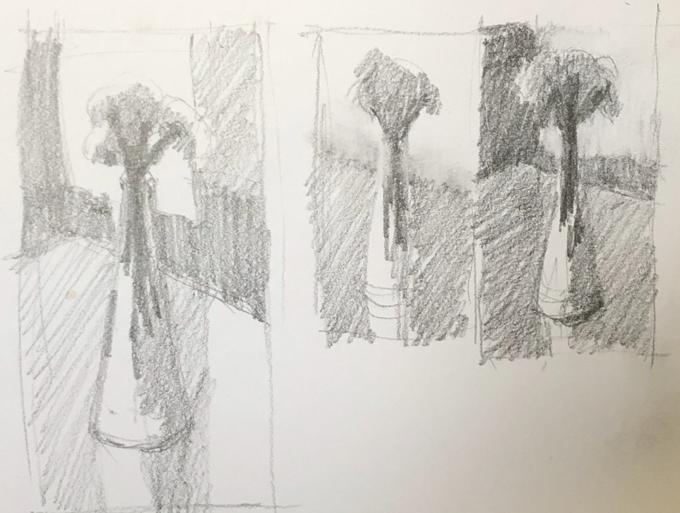 Explore a single subject: Thumbnails - trying to figure out composition and values. You can see the process I went through from left to right.