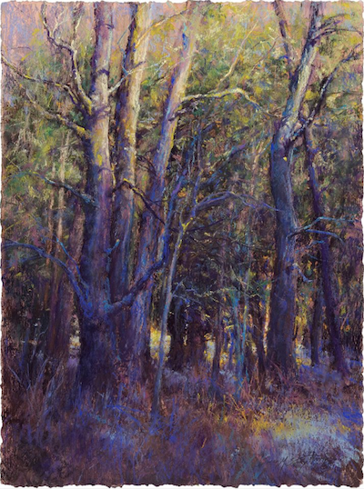 Pastel painting roundup: Susan Story, "Lingering," pastel on paper, 22 x 29 3/4 in