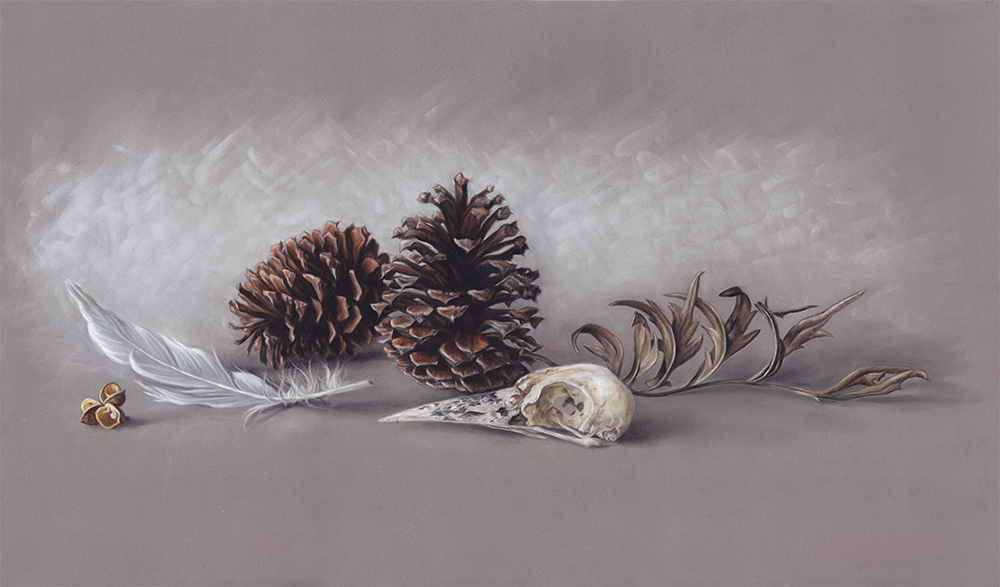 PanPastels: Alex Louisa, Pieces and Pinecones, 2013, PanPastel on Pastelmat, 16 x 28 in, Sold. I am constantly drawing from my collection to create interesting still life arrangements. I’m especially drawn to creating interesting cast shadows.