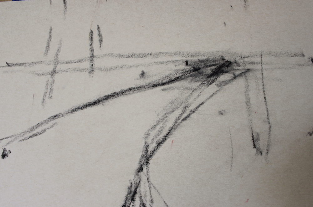 Simple vine charcoal drawing on UART 320 grade paper.