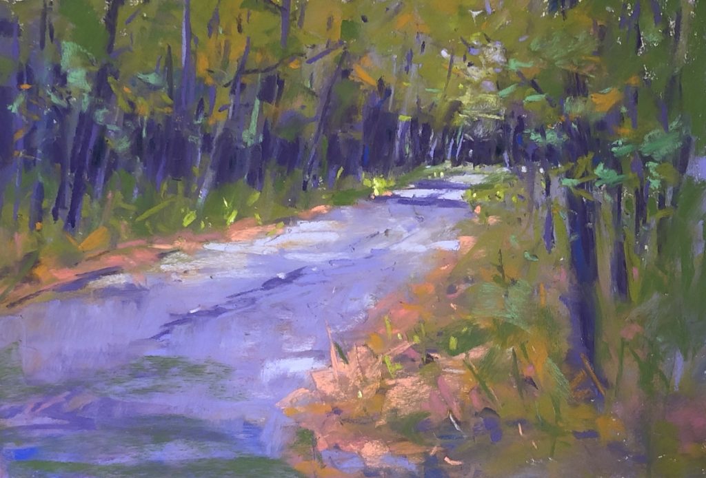 Coming back to the pastel the next day, I realized I'd lost my main focus, the reason I'd chosen to do this particular composition, namely the small patches of light coming through the trees onto the driveway in the distance. So I rectified that!