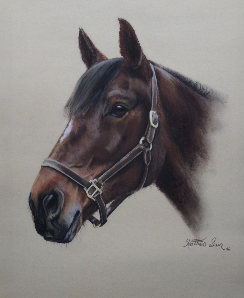 Heather Laws, "Maggie," 1996, Pastel on Ersta Sanded Paper, 11 x 14 inches. One of the very first portraits I created of Maggie, my beloved Clyde/Thoroughbred Cross Mare. Collection of the artist.