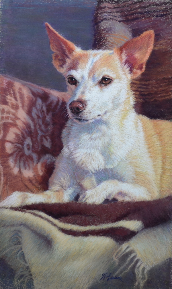 Heather Laws, "Little Lord Elliot," 2020, Pastel on LaCarte, 15 x 9 inches. Here sits my little Elliot soaking up the afternoon sun in his favourite porch chair.  Elliot is a Jack Russel Cross, rescued at age two and originally from somewhere in Kentucky. We met at a foster home in Etobicoke, Ontario and it was instant love. He’s been my constant companion for many years and I love him to bits. Collection of the artist