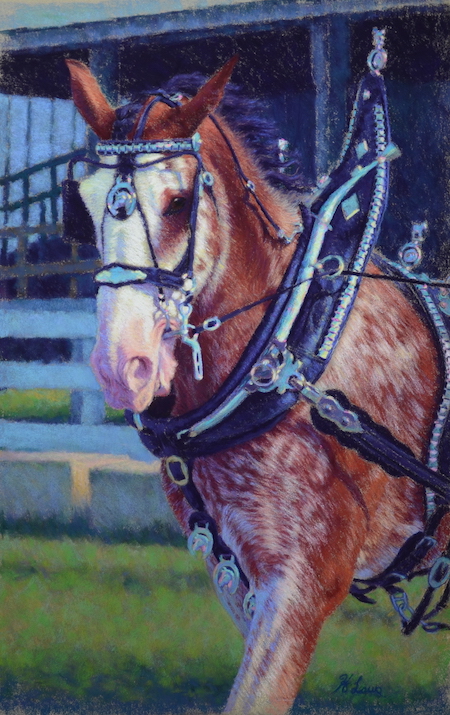 Heather Laws, "Clyde Bling," 2020, Pastel on LaCarte, 21 1/2  x 13 3/4 inches. Available.The inspiration for this piece came from photos I took at the Beaverton Fair. I have a particular fondness for these gentle giants as they remind me of my beloved mare Maggie, a loveable soul I was blessed to share 21 years of my life with. I really miss her. 