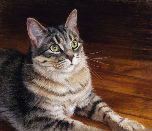 Heather Laws, "Tilly," 2005, Pastel on LaCarte, 11 x 15 inches. Commissioned portrait.