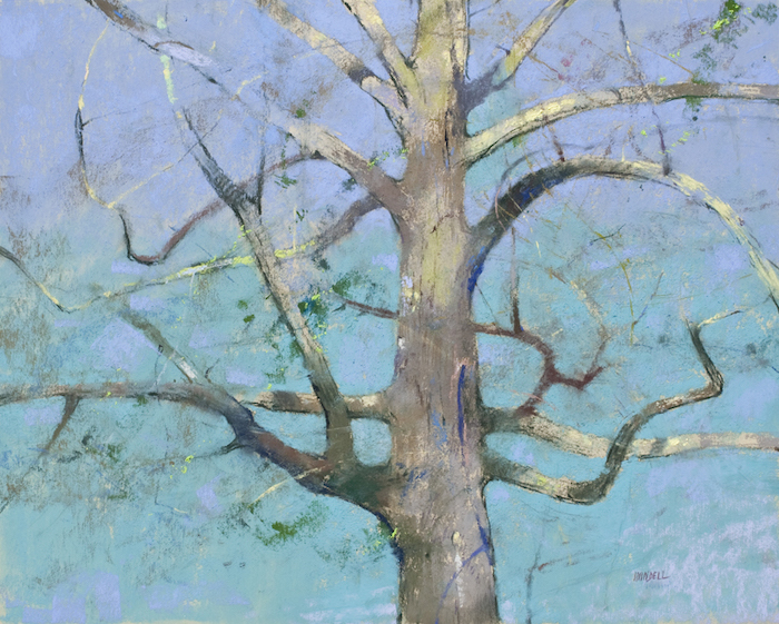 Albert Handell, "Mother Tree," pastel, 16x20 in