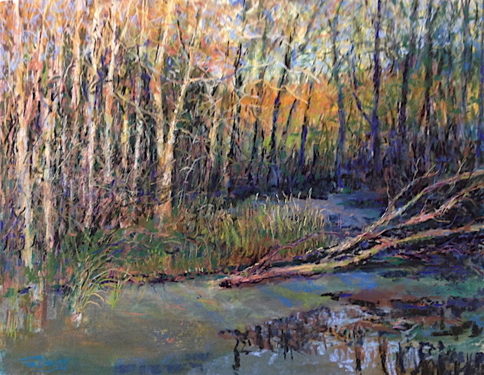 Tom Bailey, "Wetlands," Various Pastels on Sanded Paper, 18 x 24 in.