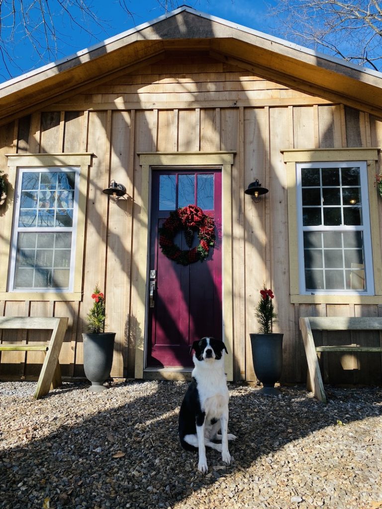 Tara Will's studio