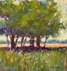 Gail Sibley, "Shade!," Unison Colour pastels on UART 400, 4 ¾ x 4 ½ in. Available $100
