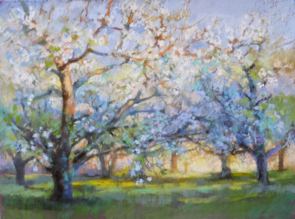 Christine Debrosky," In the Old, Old Orchard," Terry Ludwig, Great American and other soft pastels on toned Wallis, 18x24 in. Sold. I grew up near apple orchards and they are a beloved subject. I painted many over my years in the Hudson Valley. In my Arizona studio, I was missing them, and so did a nostalgic piece from my photo references, and many happy memories of painting out in the orchards, in all seasons. Spring blossom time was especially magical.