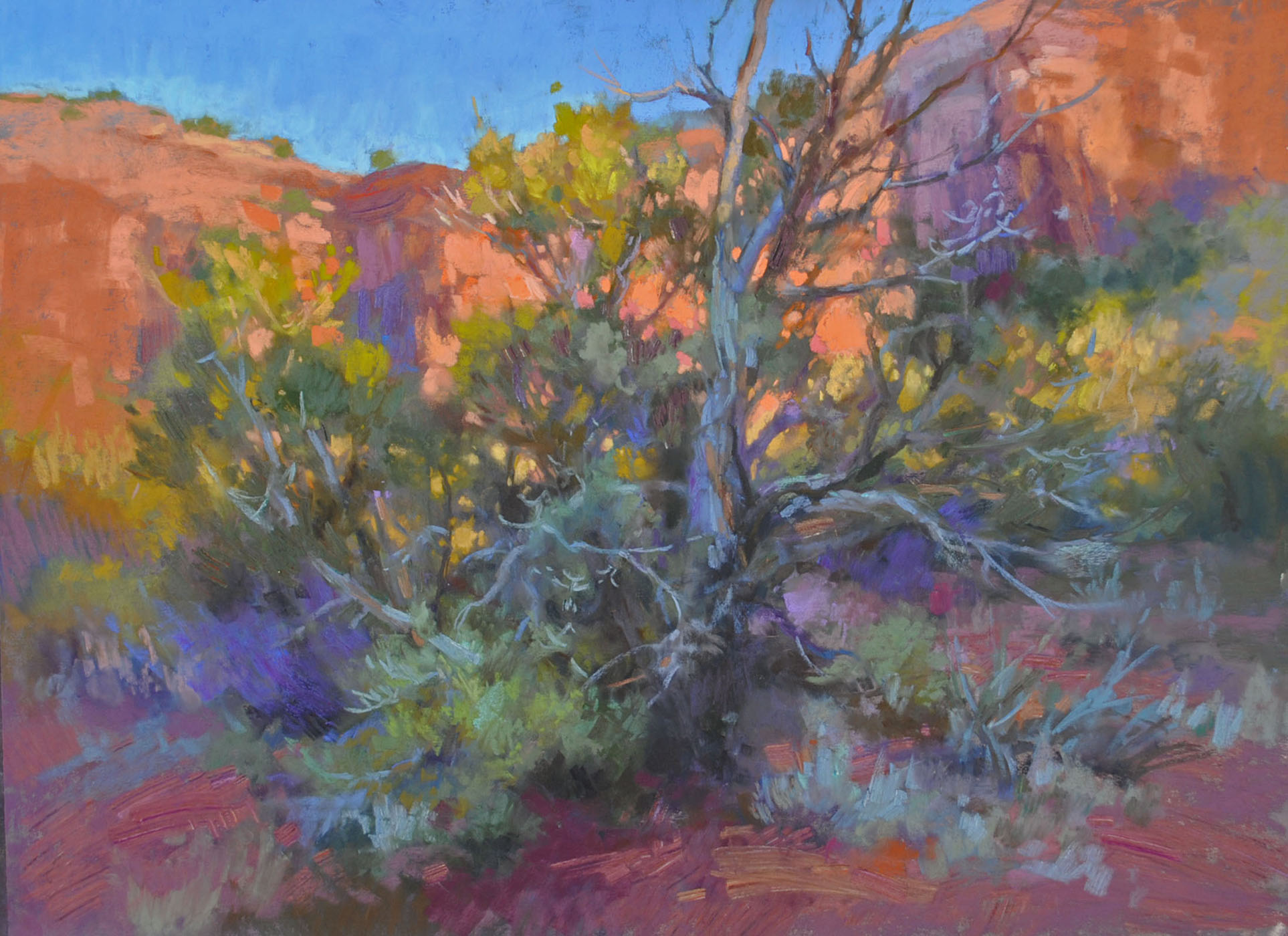 Christine Debrosky, "Sedona Lace," 2016, Terry Ludwig, Great American, Schmincke and various other pastels on burgundy Pastelmat, 18x24 in. Sold. I am always taken with shadowed tree branches up against an illuminated backdrop. In this case, a twisted juniper and a rosy Sedona cliff face. It becomes like stained glass with the etched twigs like leading holding the glowing colours.