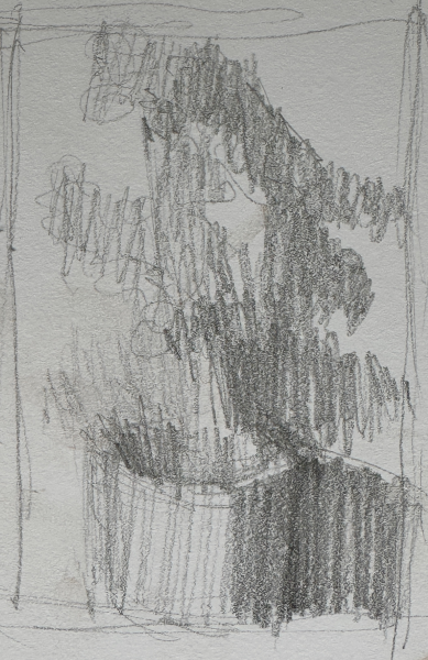 quick plein air painting: Bouganvillea in pot - thumbnail