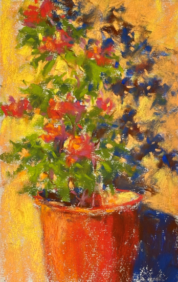 quick plein air painting: Bougainvillea in pot - final
