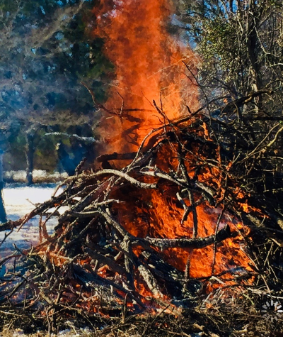 Beth Tockey William: Beth Tockey Williams, Inferno, 2020, pastel on UART paper, 10 x 8 in. Sold.