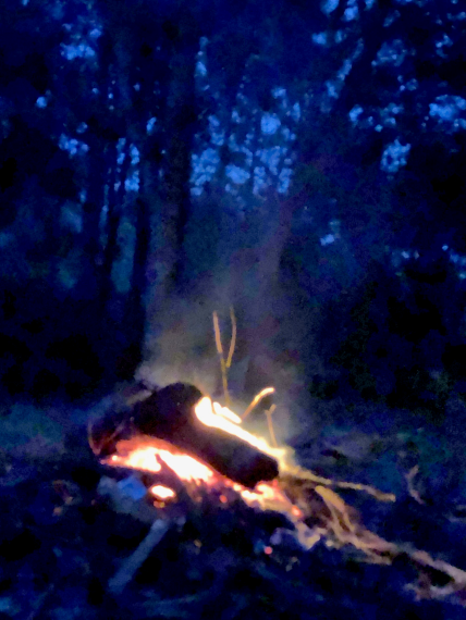 Beth Tockey Williams, Smoke and Embers, reference photo, 2021.