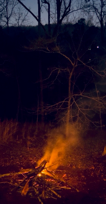 Beth Tockey William: Beth Tockey Williams, Sudden Gust, reference photo, 2025.