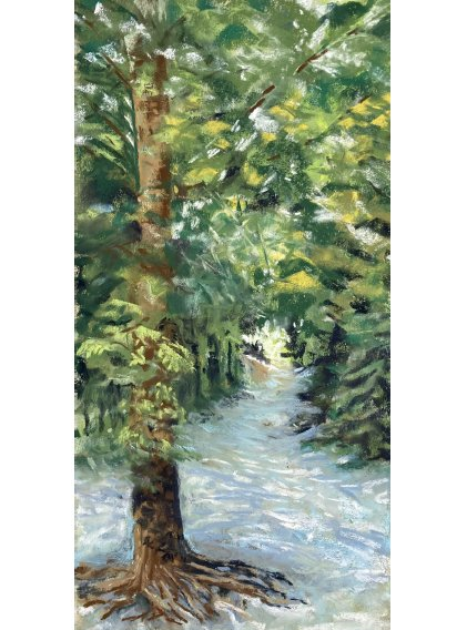 Icy Feet in Ithaca Falls by Martyne