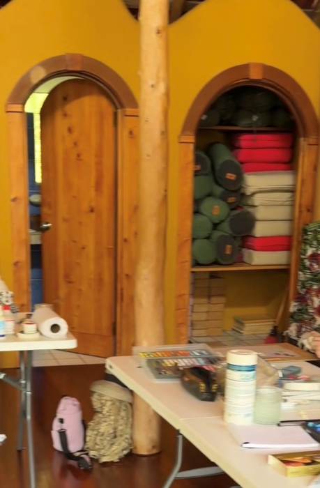 Unexpected Painting Subjects: The bathroom area